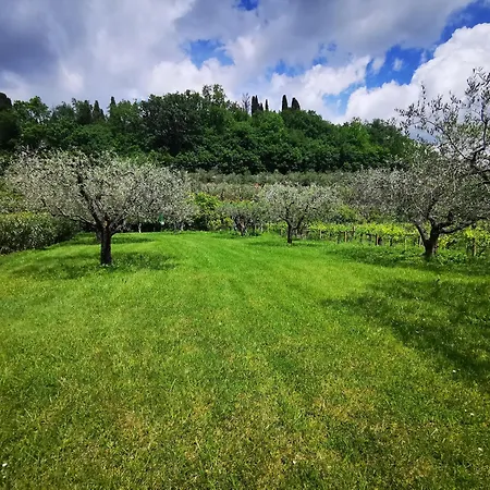 Casa Ghirlanda Con Piscina E Campo Da Tennis Lazise Esterno foto